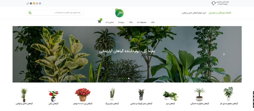 وبسایت بفرماگل